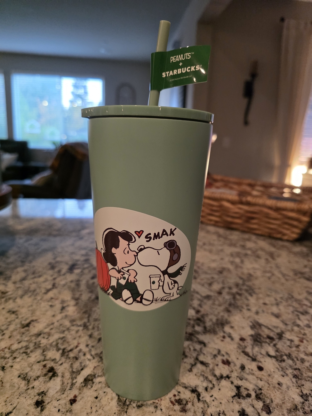 Starbucks Peanuts Mint Green Tumbler with Straw and Character Art